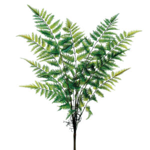 Forest Fern Bush, 27in