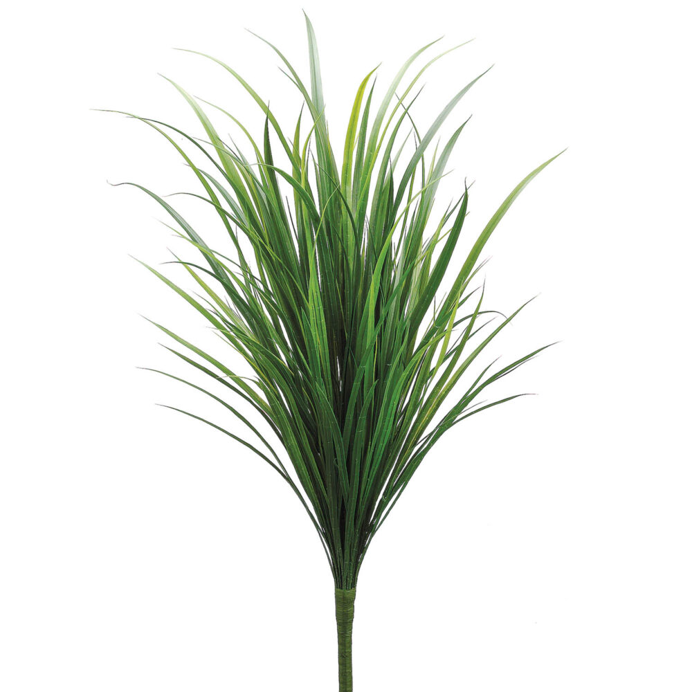 Grass Plant, 44in