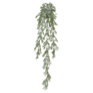 Sprengeri Hanging Bush, 37.5in