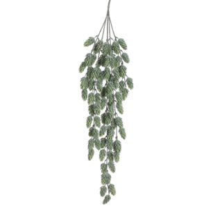 Hops Hanging Bush, 30in