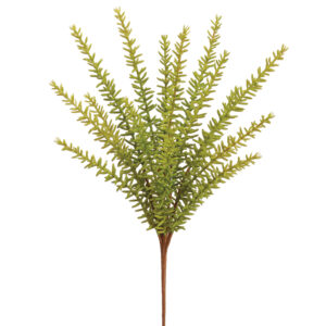 Rosemary Bush, Green, 13in