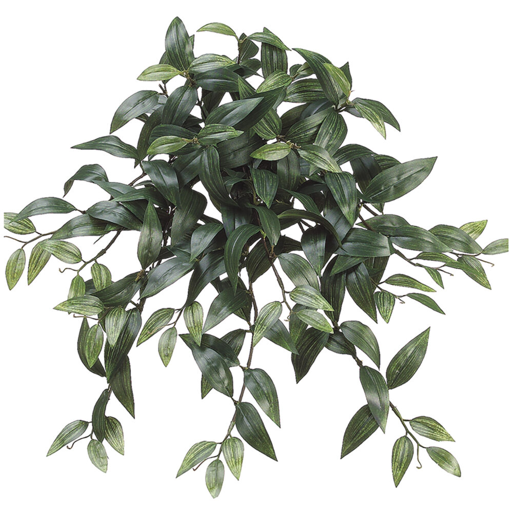 Ruscus Hanging Bush, 22.5in