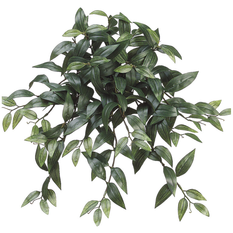 Ruscus Hanging Bush, Dark Green, 22.5in