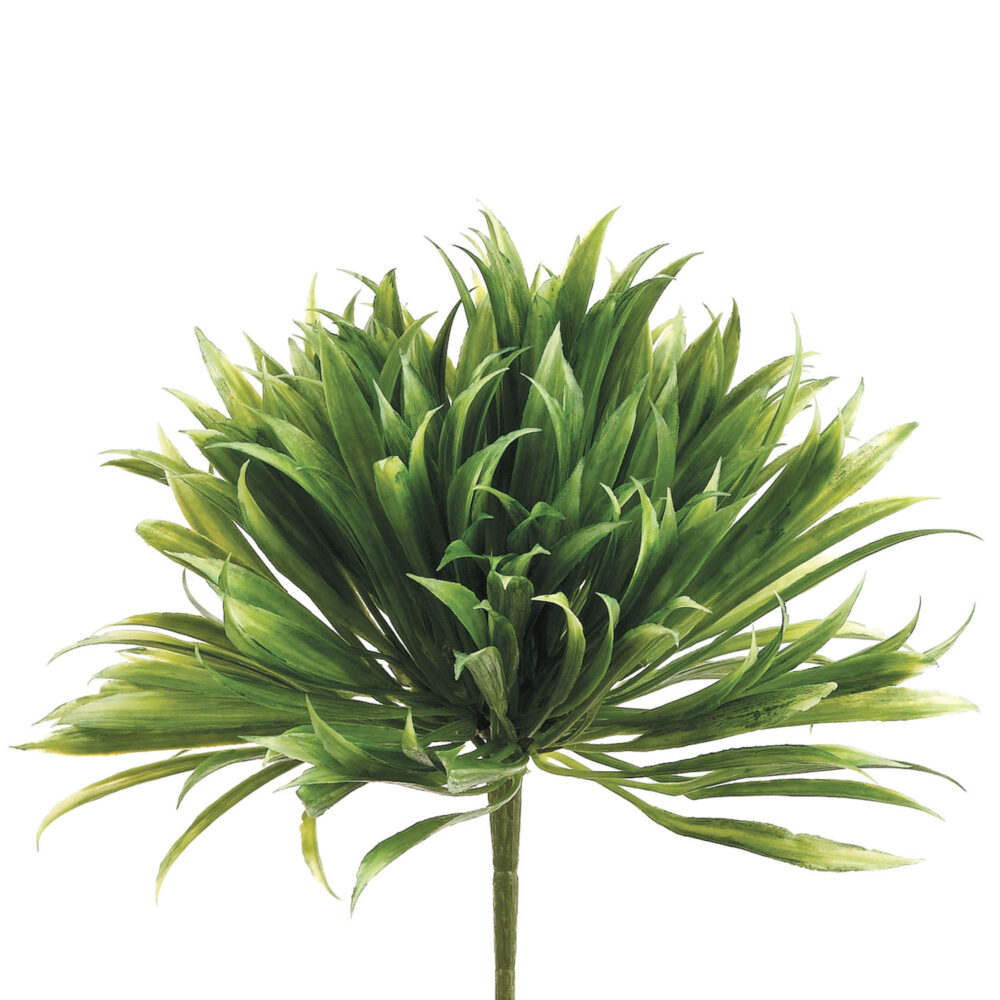 Rye Grass, 8in