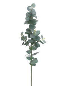 Eucalyptus Spray, 29in