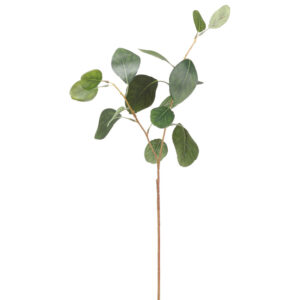 Eucalyptus Leaf Spray, 18in