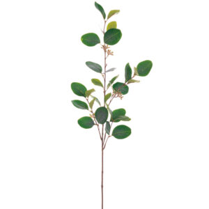 Eucalyptus Spray, 30in