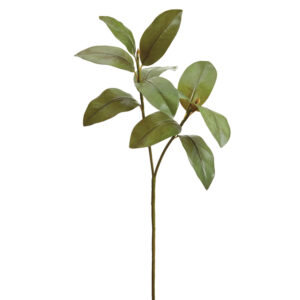 Magnolia Leaf Spray, 34in