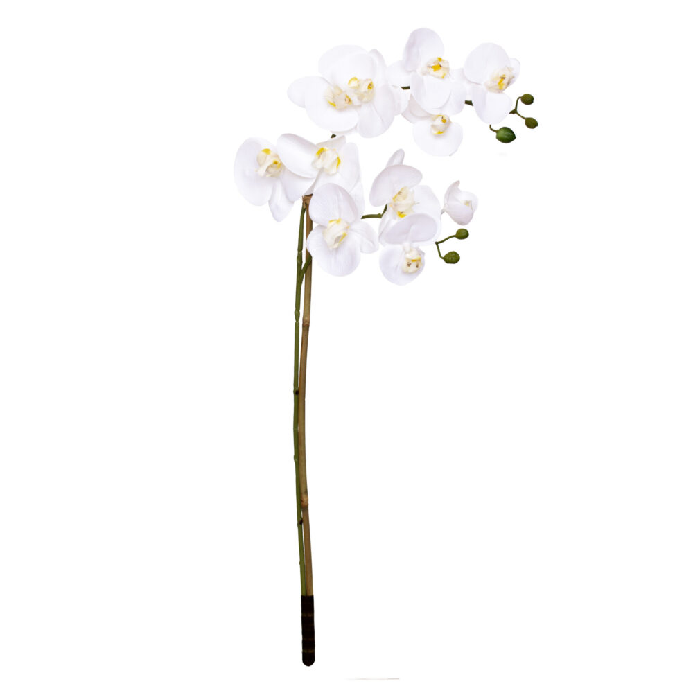 Orchid Stem (phalaenopsis) w/ Bamboo Stick, Real Touch