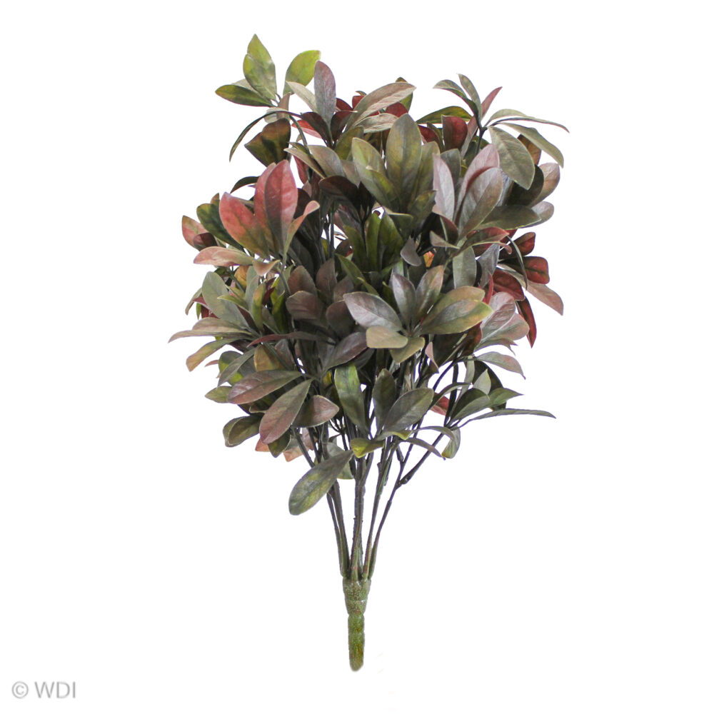 Schefflera Bush, Red, 17in - Image 2