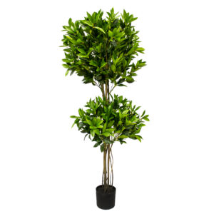 Shikiba Topiary Tree, 5ft