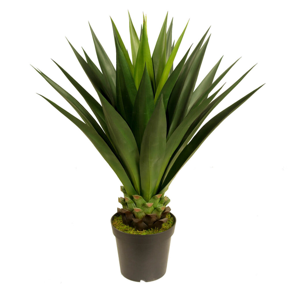 Unpotted Sisal Plant, 39in