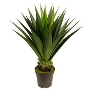 Sisal Plant, 39in