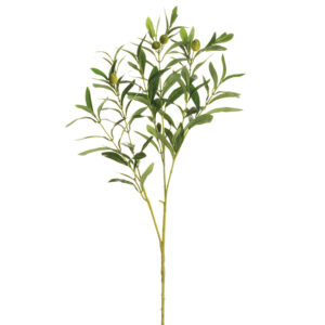 Olive Spray, 28in