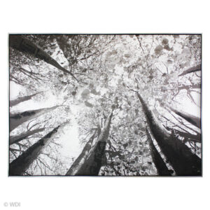 Sky View Wall Art (36inx48in)