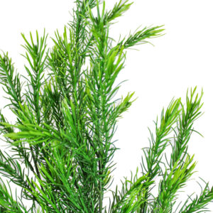 Woolly Bush Pick, 22in