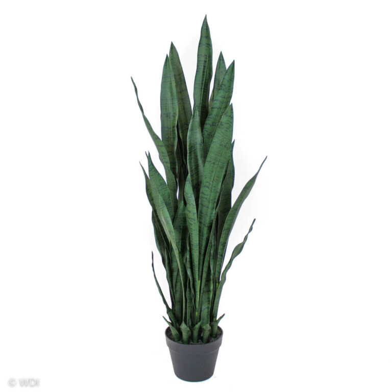 Snake Plant / Tiger Tail, Dark Green, 42in