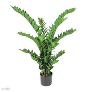 Zamiifolia Plant, 51in