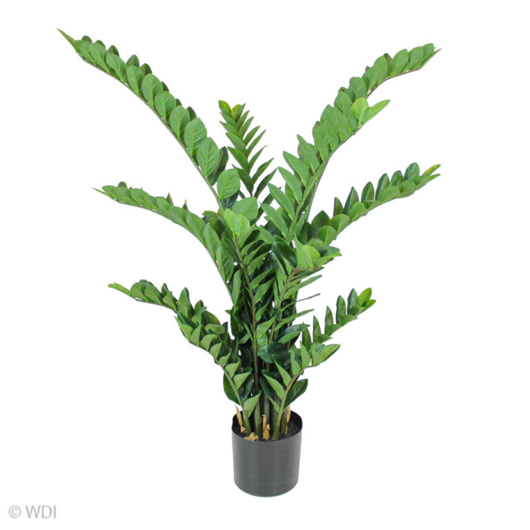 Zamiifolia Plant, 51in