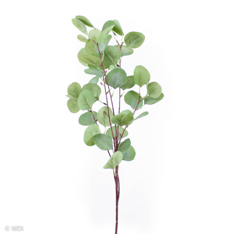 Eucalyptus Stem, Light Green, 36in