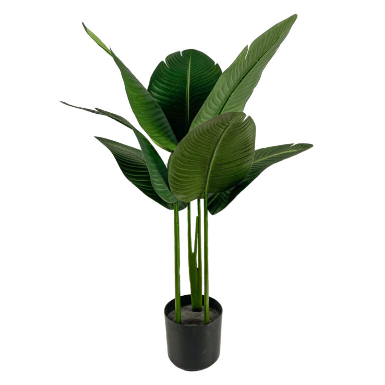 Palm Travellers, 3ft