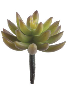 Agave Pick, Green/Purple, 4in