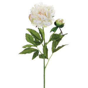 Peony Spray, Cream, 28in