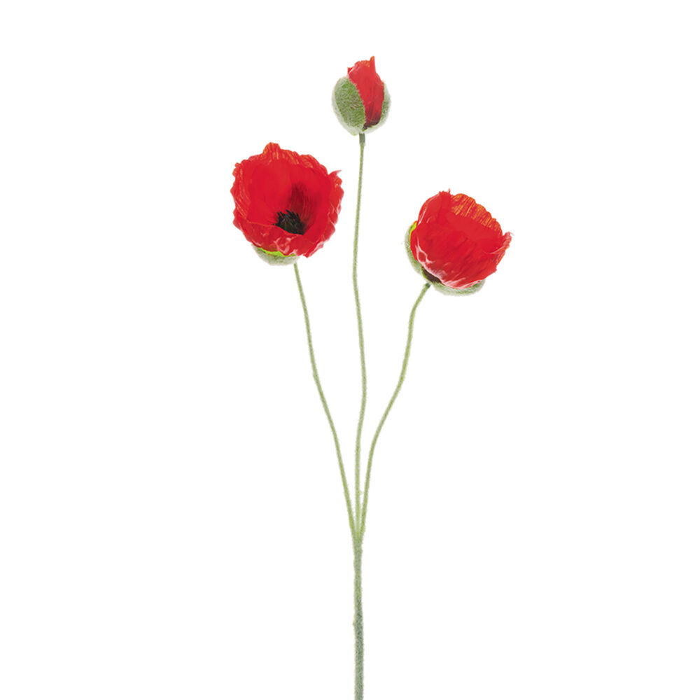 Poppy Spray, 20in