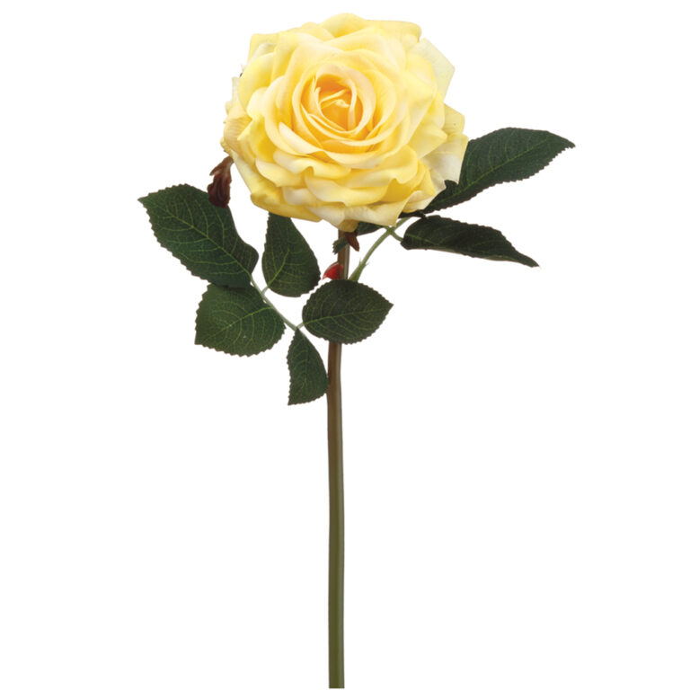 Rose - Real Touch, 12in
