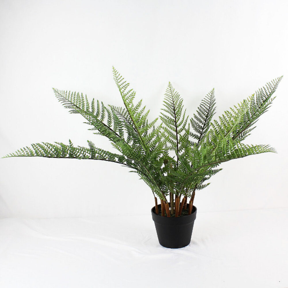 Fern Plant, 29in