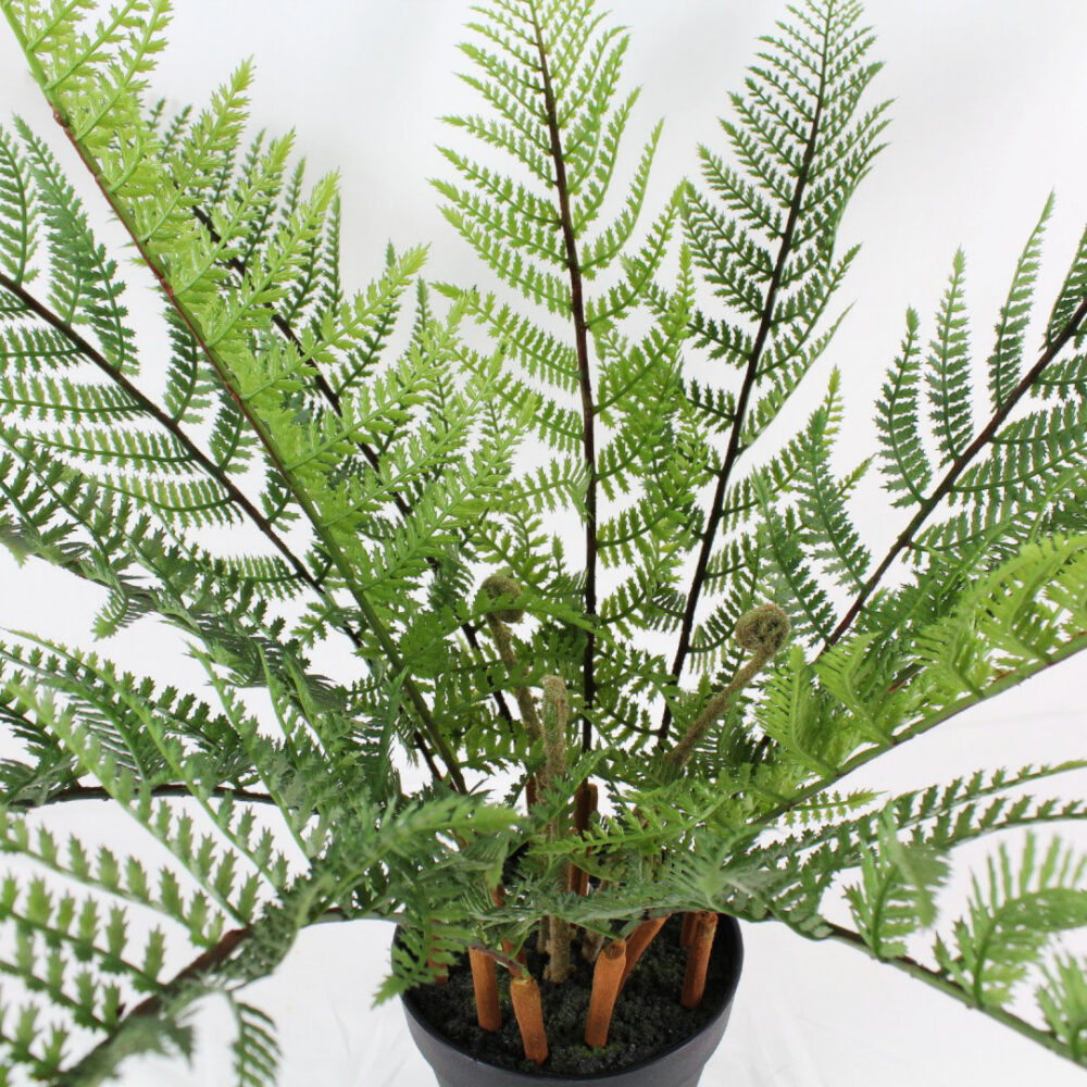 Fern Plant, 29in - Image 2