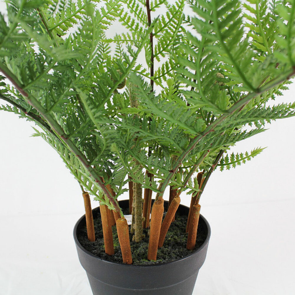 Fern Plant, 29in - Image 3