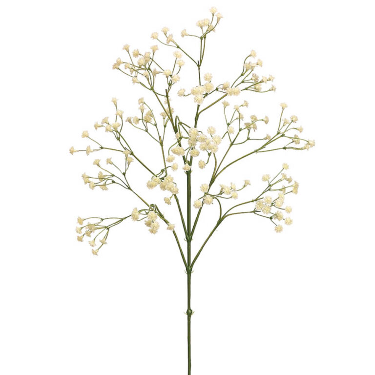 Gypsophila Spray, 26in