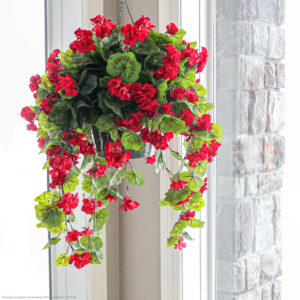 Geranium Hanging Basket, Red