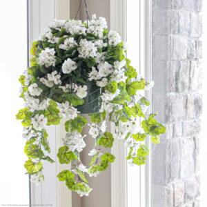 Geranium Hanging Basket, White