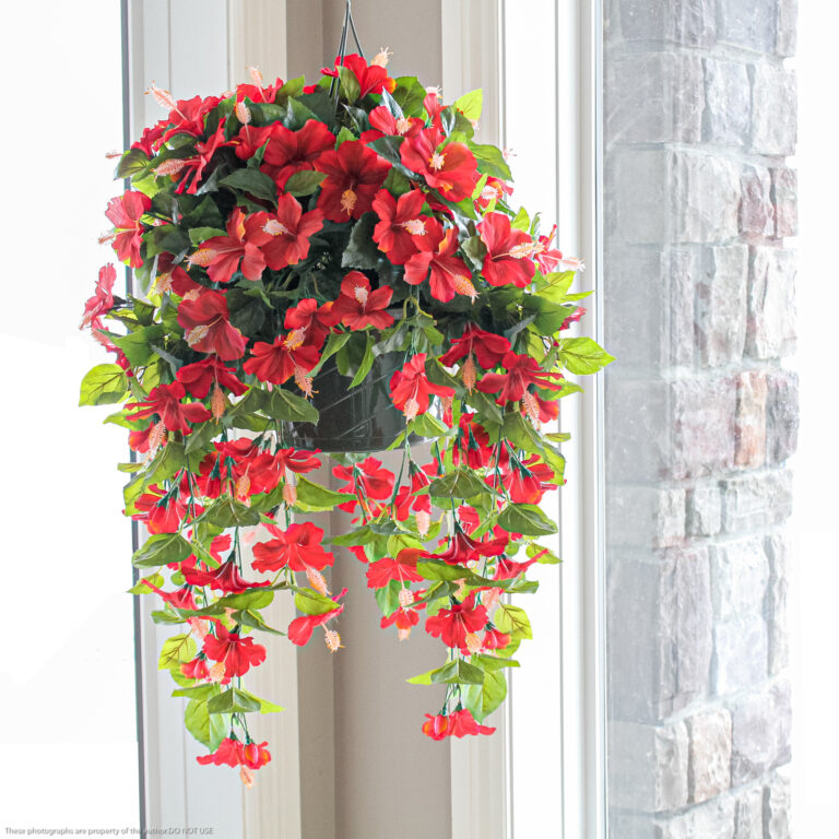 Hibiscus Hanging Basket, Red