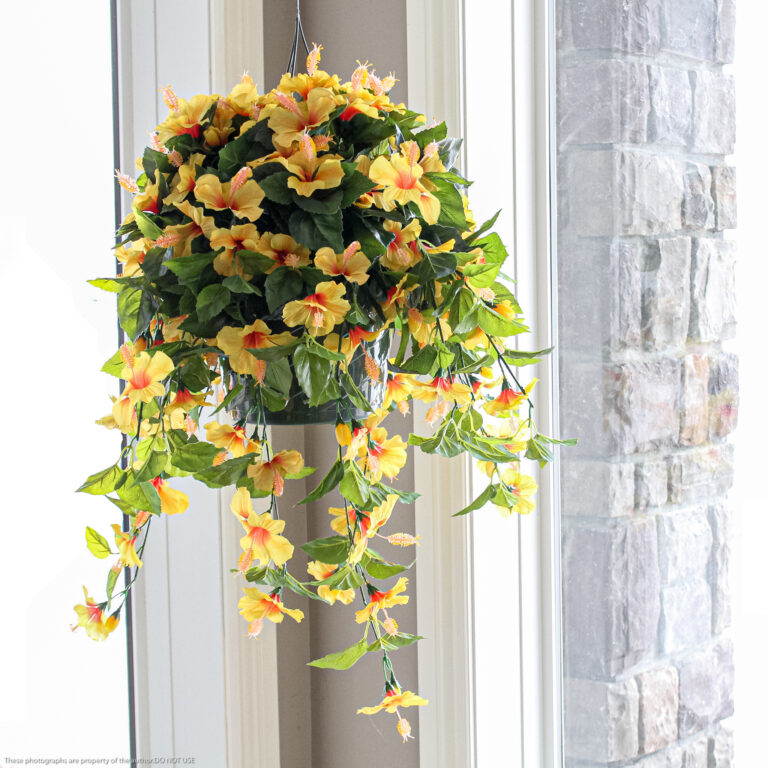Hibiscus Hanging Basket, Yellow