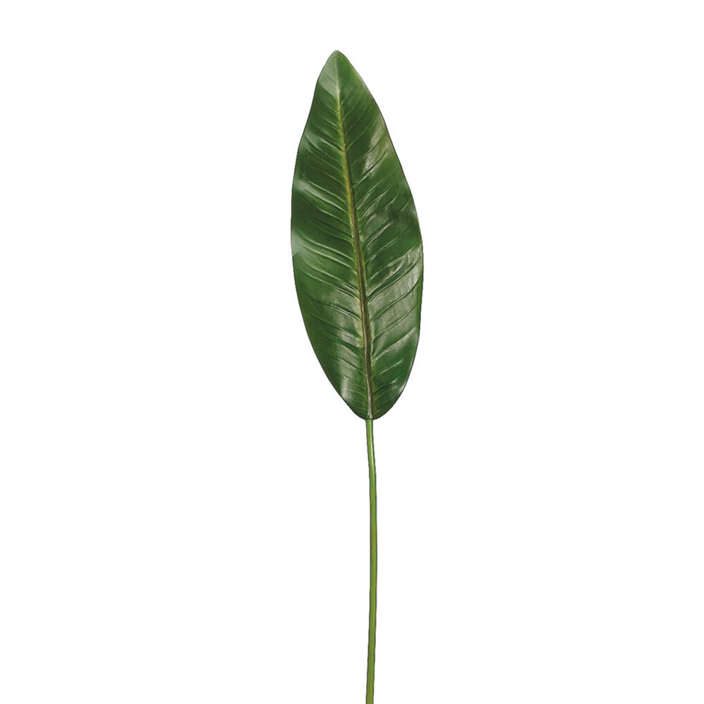 Bird of Paradise Leaf, 37in