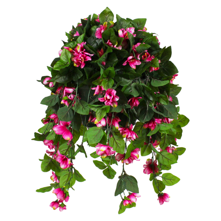 Azalea Hanging Basket, Fuchsia
