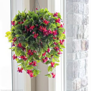 Fuchsia Hanging Basket, Red/Burgundy