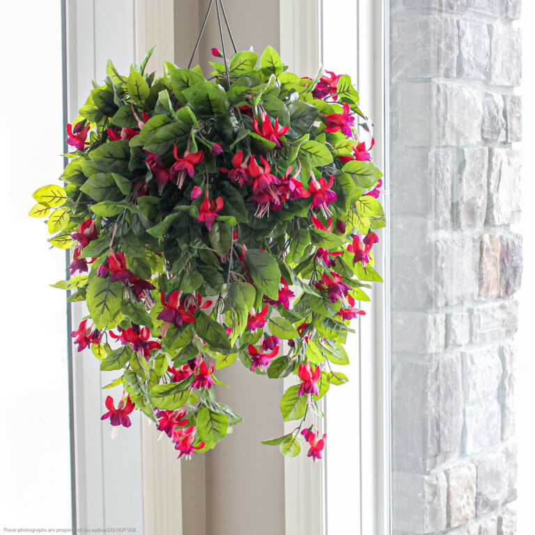 Fuchsia Hanging Basket, Red/Burgundy