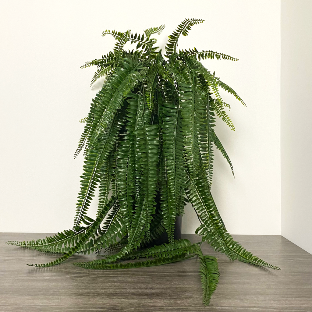 Vining Fern Boston Fern Vine, Dark Green, 44in (UV) - Silk Plant Warehouse