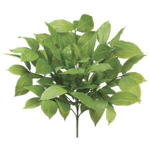Fat Acuba Bush, 18in