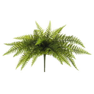Leather Fern Bush, 20in