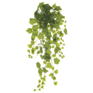 Grape Ivy Bush, 38in