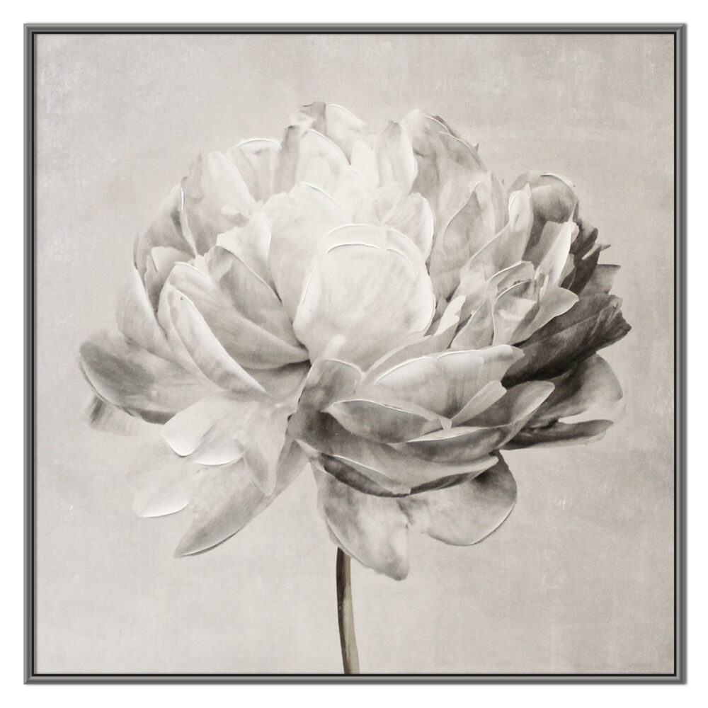 Petal Wall Art (40inx40in)