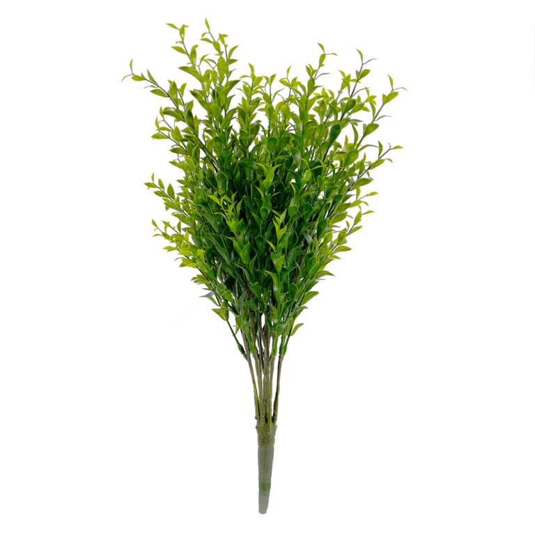 Ruscus Leaf Bush, Two-Tone Green, 18in
