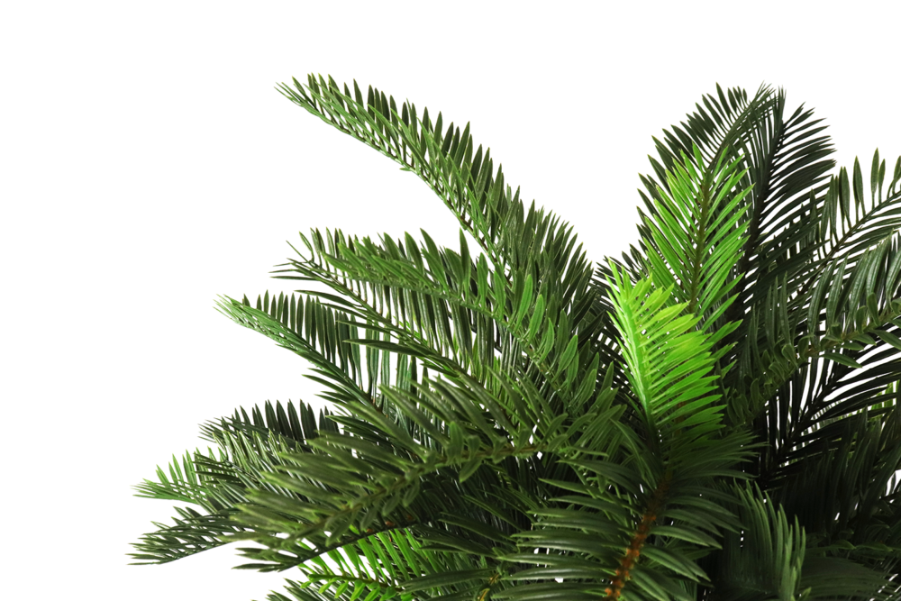 Cycas Stem Pick, Green, 24.5in (UV) - Image 2