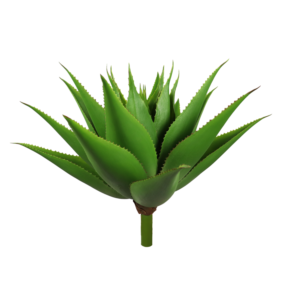 Agave Pick, Light Green, 17in