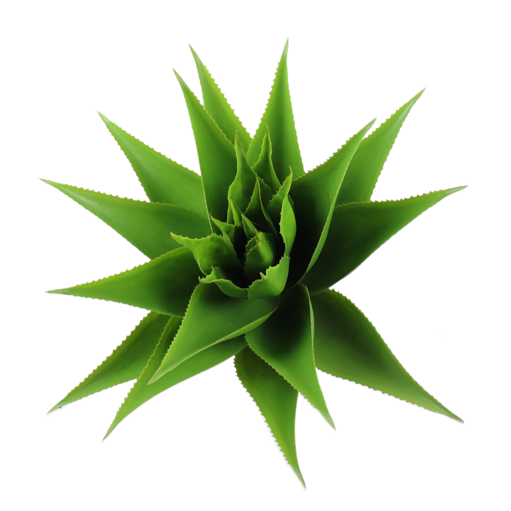 Agave Pick, Light Green, 17in - Image 2